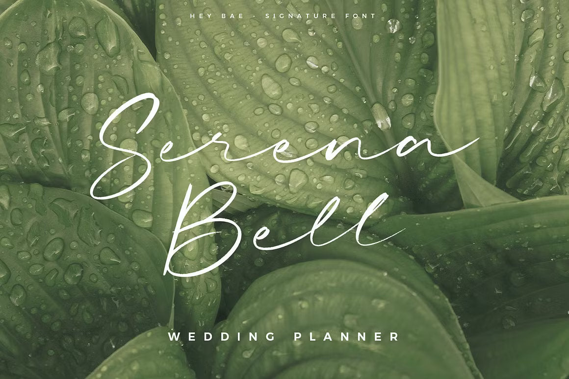 Hey Bae – A Modern Signature Script