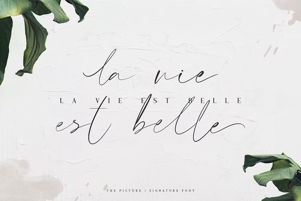 The Picture – A Handcrafted Signature Script