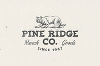 SEAGRAM Font Bundle & EXTRA