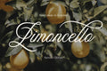 Aesthetics Romantic Script