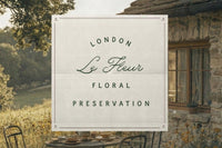 The Meadows - Font Trio & Extra