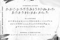 Wallart 2020 – A Graffiti-Inspired Script Font