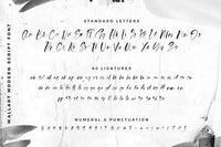 Wallart 2020 – A Graffiti-Inspired Script Font