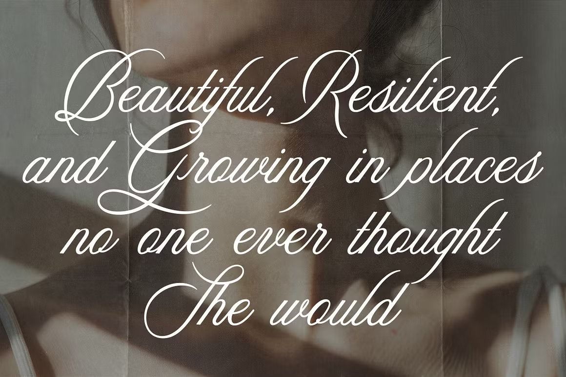Aesthetics Romantic Script