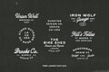 Free Lander - Font Duo + Extra