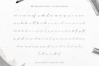 The Picture – A Handcrafted Signature Script