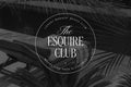Darline Logo Suite