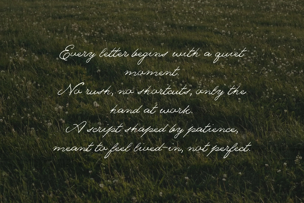 The Meadows - Font Trio & Extra