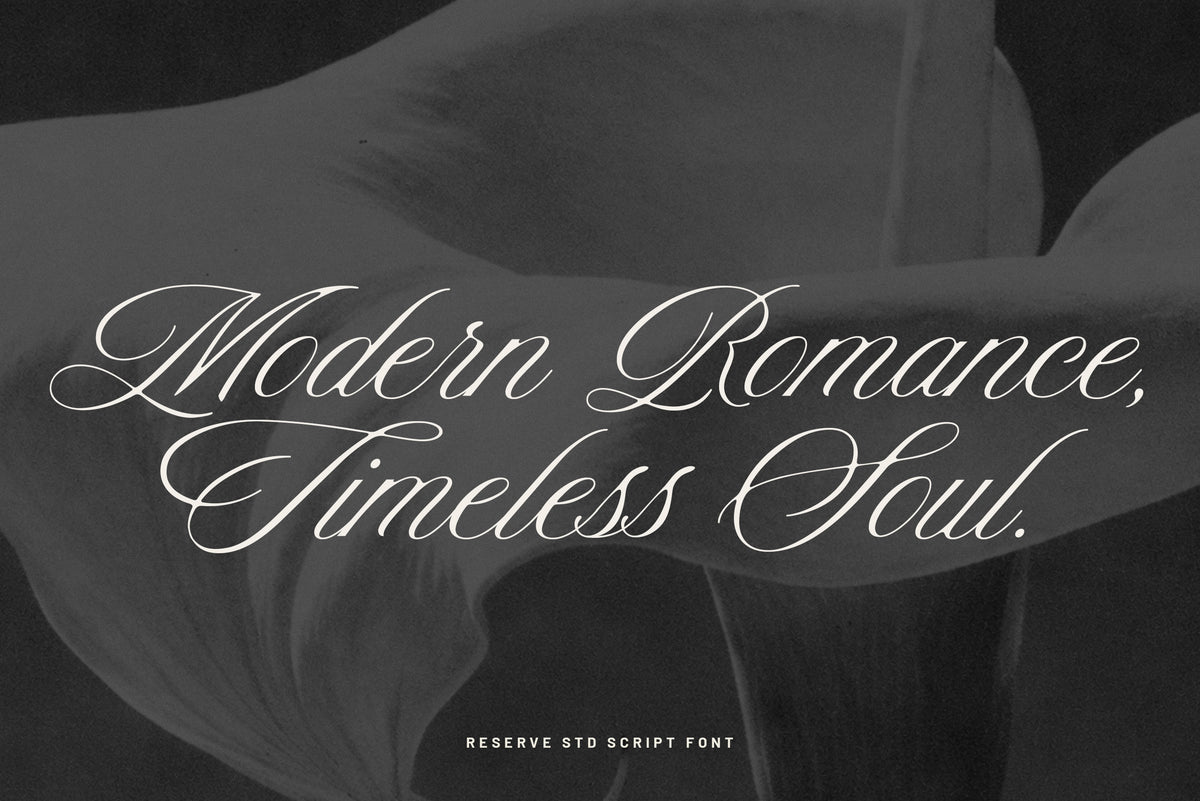 Reserve - Luxury Script Font
