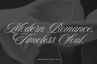 Reserve - Luxury Script Font