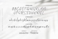 Bellissima - Messy & Modern script