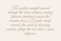 Aesthetics Romantic Script