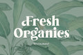 Tropical Garden – Elegant Serif Font