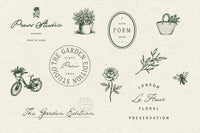 The Meadows - Font Trio & Extra