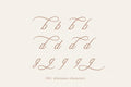 Aesthetics Romantic Script