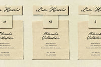 Golden Reverie - Nostalgic Script