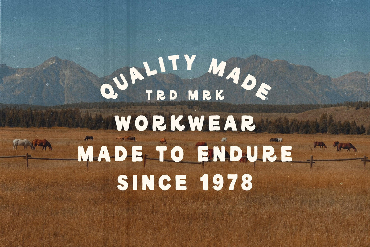 REDLODGE FONT DUO + Extra