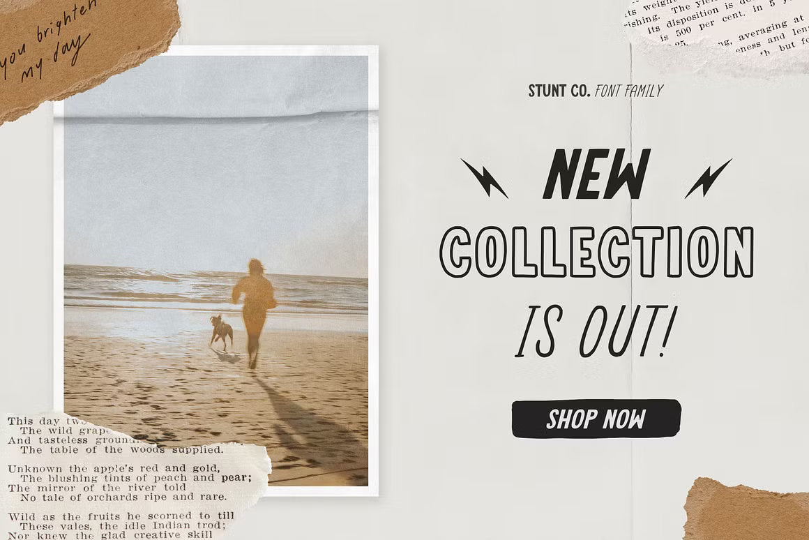 STUNT CO. Font Family + Extra
