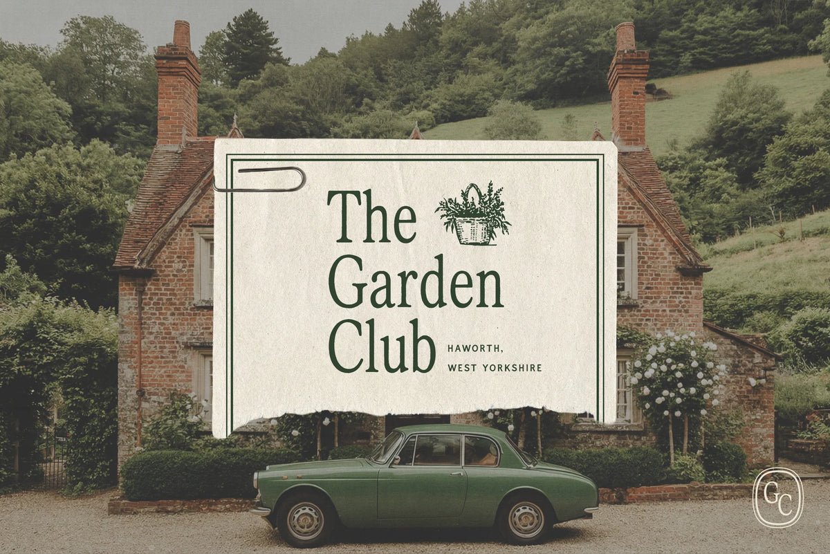 The Meadows - Font Trio & Extra