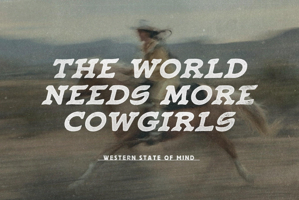 SEAGRAM Font Bundle & EXTRA