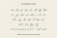 The Meadows - Font Trio & Extra