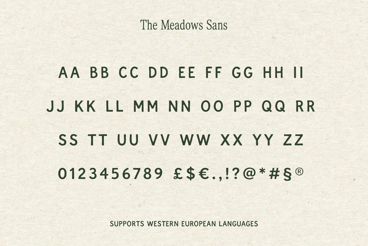The Meadows - Font Trio & Extra