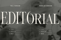 Editorial Society - Luxury Editorial Font Duo