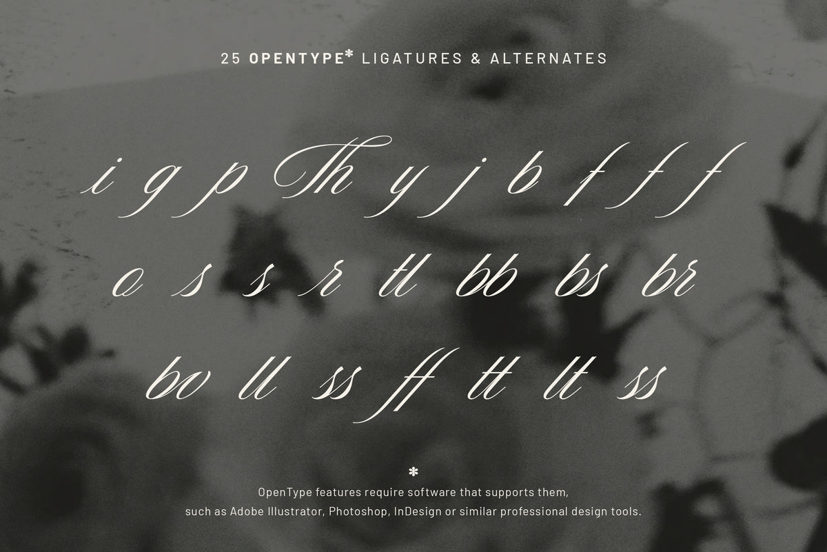 Editorial Society - Luxury Editorial Font Duo