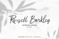 Bellissima - Messy & Modern script