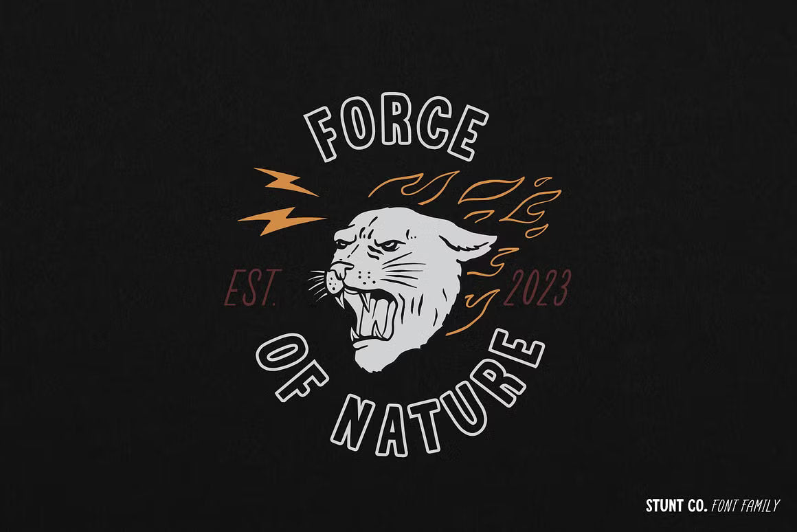 STUNT CO. Font Family + Extra