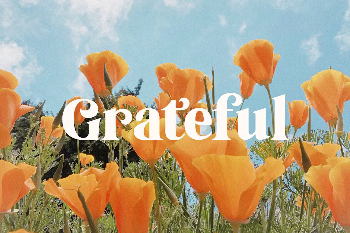 Tropical Garden – Elegant Serif Font