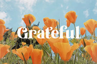 Tropical Garden – Elegant Serif Font