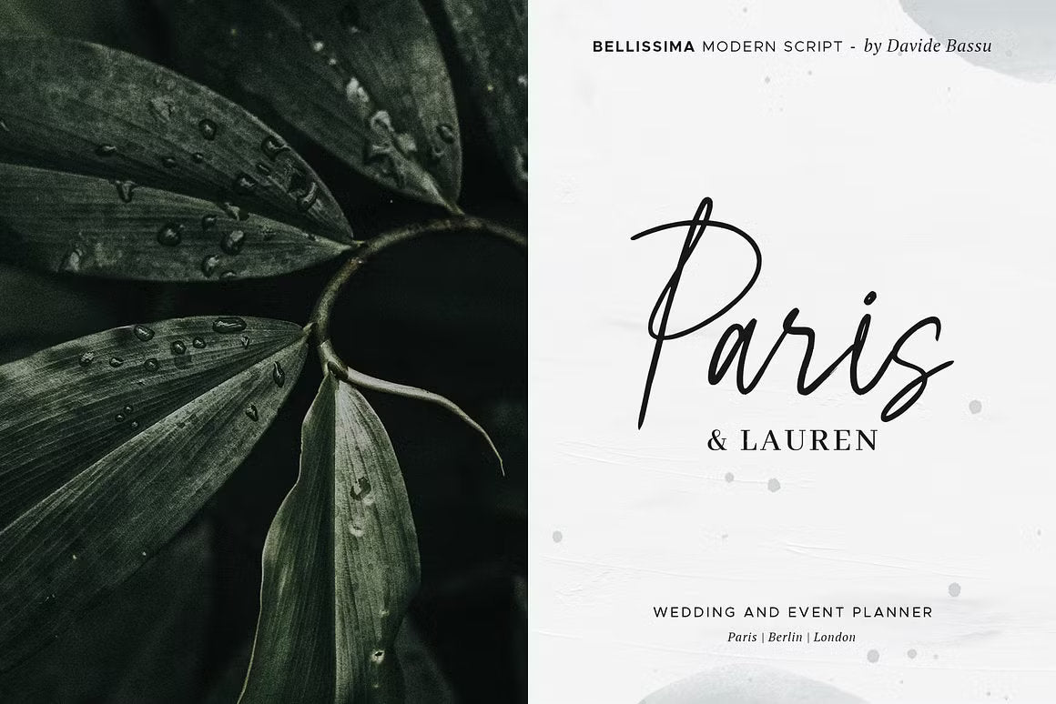 Bellissima - Messy & Modern script