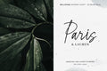 Bellissima - Messy & Modern script