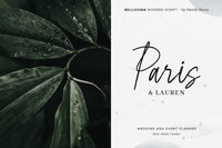 Bellissima - Messy & Modern script