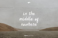 STUNT CO. Font Family + Extra